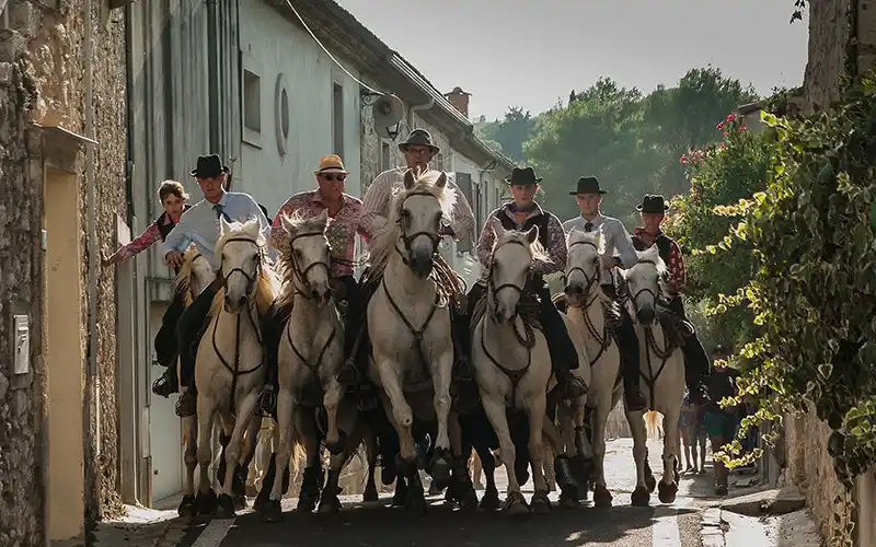 cavalier feriade camargue