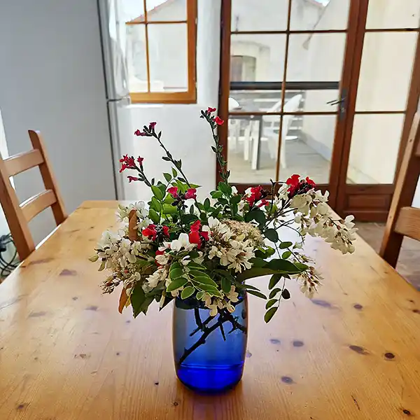 grand gîte pour 12 personens en Camargue